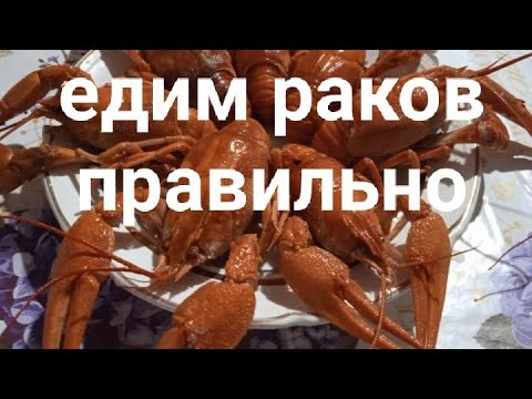 Видео: Правильно едим раков
