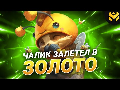 Видео: Что если чалик на Тимо зайдет в золото?