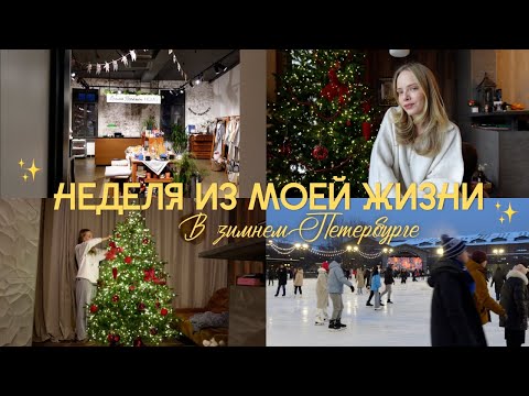 Видео: Ставим елку, шопинг в Фамилии, каток и ярмарки | ВЛОГМАС ✨