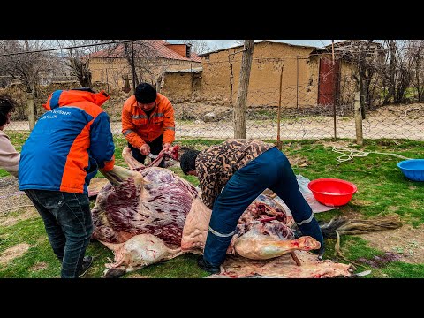 Видео: Узбекистан! Как КАЗАХИ делают КОЛБАСУ?! КАЗЫ! Мясо на целый КИШЛАК! Шурпа! Жизнь в ДЕРЕВНЕ!