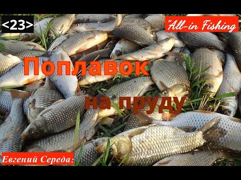 Видео: Поплавок на пруду. "All-in Fishing". Вып. 23.