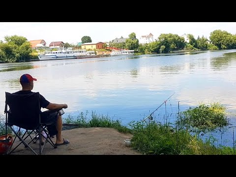 Видео: АКВАТОРИЯ - рыбалка, деревня Чулково, река Москва, лещ, подлещик