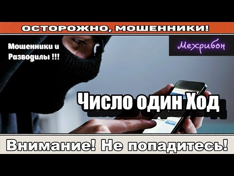 Видео: Мошенники звонят по телефону / Хрюша с ШаболОвки ( сборник ).