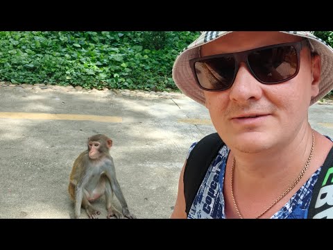 Видео: Китай Хайнань г. Санья Б. Дадунхай 5 #июль #deaf #deafcommunity #deafworld #глухие 