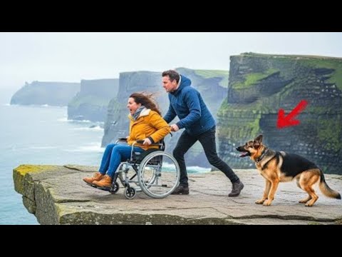 Видео: Муж бросил парализованную жену ветерана… но то, что случилось потом, потрясло всех!