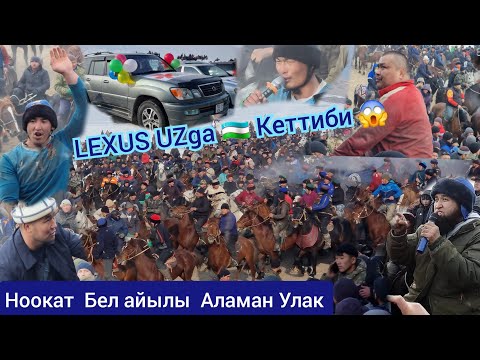 Видео: Ноокаттагы Аламан Улак  Толугу менен  LEXUS 470 кимге кетти ОРТО АЗИЯ БОЮНЧА КЕЛГЕН