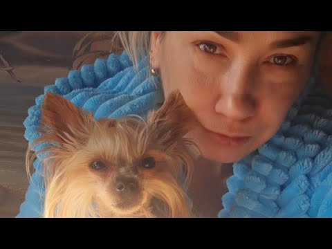 Видео: Люся-русая коса/ наш завтрак.