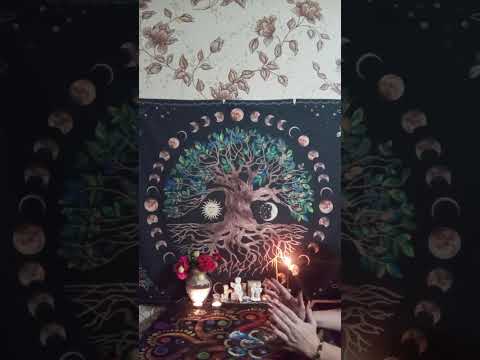 Видео: 🫂👥ТАРО ДЛЯ МУЖЧИН. Ваш Род с вами на связи#мыслимужчинытаро #tarot 👥🫂
