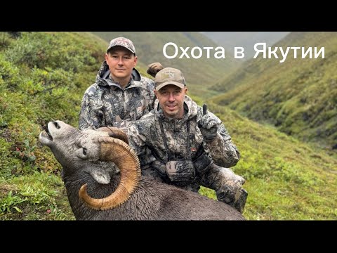 Видео: Охота в Якутии на Якутского и Охотского Снежных баранов   #охота #путешествия #travel #hunting