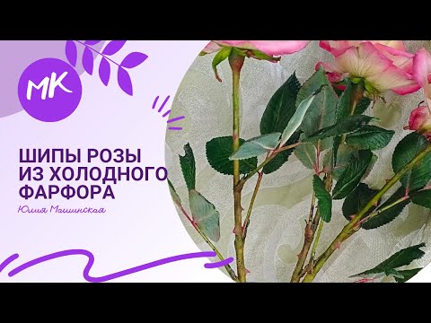 Видео: Мк Шипы Розы из холодного фарфора