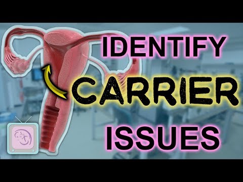 Видео: Почему циклы ЭКО не работают после переноса? Часть 2 — Переносчик