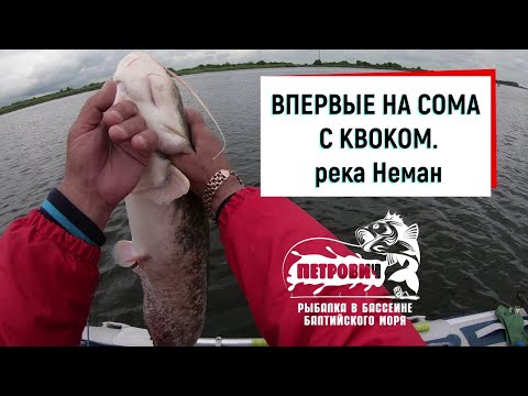 Видео: VLOG: Сом! Впервые на сома с квоком. р. Неман. Июль 2020.