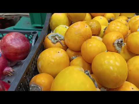 Видео: К завтраку яичные блинчики 😋.И вдруг ремонт 🤔