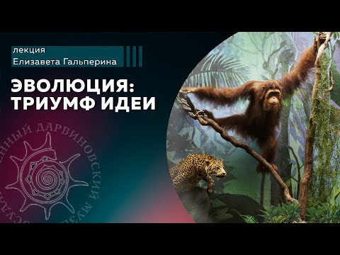 Видео: Эволюция: триумф идеи