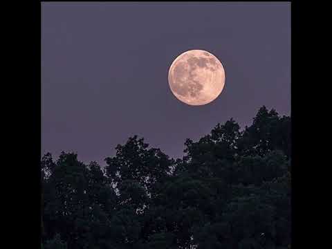 Видео: [F4F] причины [бывших] больше? [больной слушатель] [забота о тебе] [упрямый слушатель] [аргумент]