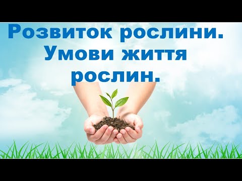Видео: Розвиток рослини.  Умови життя рослин.
