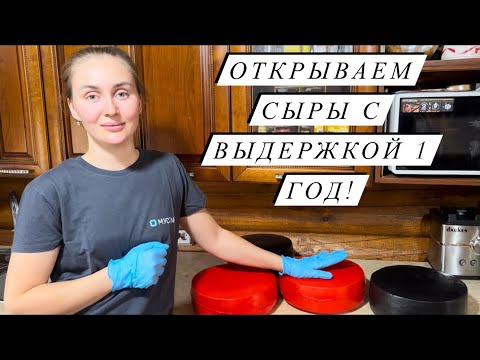 Видео: Весной ДЕЛ НА ФЕРМЕ, как никогда МНОГО! Работаем всей семьей! Выпустили овец на выпас и продали быка