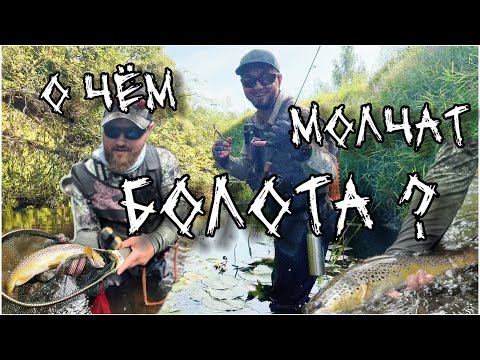 Видео: ФОРЕЛЬ НА СПИННИНГ. ТРОФЕЙНАЯ РЫБАЛКА. Рыбалка в глуши болот средней полосы. Река с трофейной рыбой.