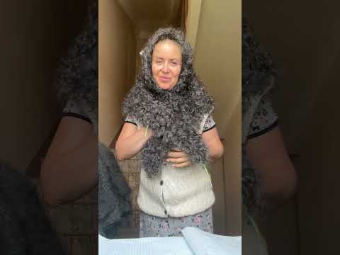 Видео: 28 июля 2024 г.