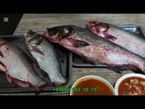 Видео: ШЫМБАЙДА ЗОР ЖАНАЛЫК ЕНДИ КУУЫРЫЛГАН БАЛЫК КУУЫРДАХ БАХАСЫ КАНША ? 