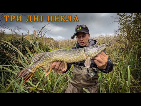 Видео: ЧОВЕН, ОСІНЬ, ЩУКА — І ТЕ, ЩО СТАЛОСЯ ШОКУЄ!