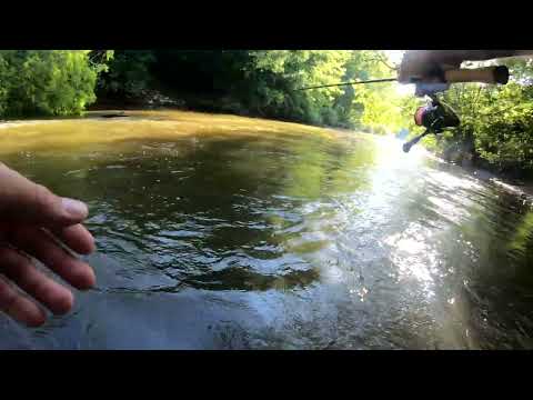 Видео: Голавль на р Пахре в жару 2024г