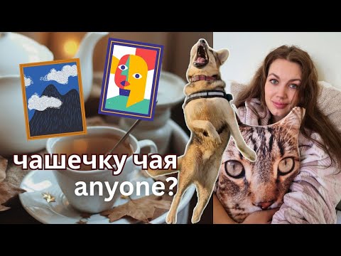 Видео: Принимаю рабочих "по-британски", ищу уюта в секонд-хендах, приют и последние новости.