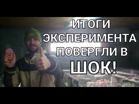 Видео: Подведение итогов эксперимента по дорогим и дешевым кормам.