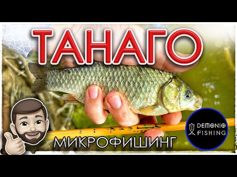 Видео: Танаго. МикроФишинг? Micro fishing