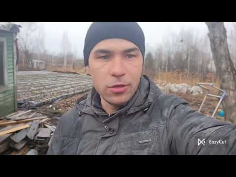 Видео: Высадка 2000 ремов🍓