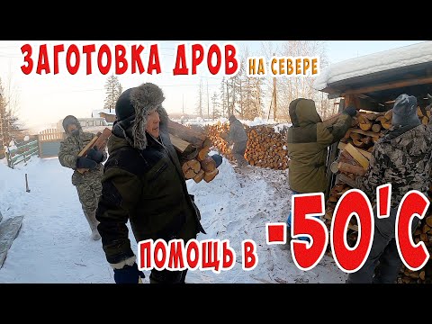 Видео: Помощь людям -50'С / заготовка дров на севере