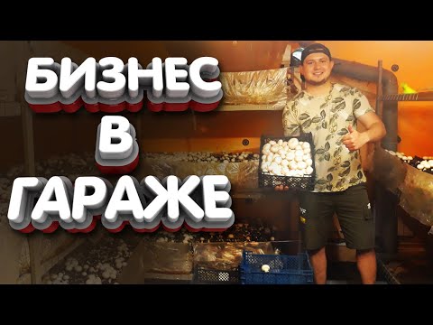 Видео: СКОЛЬКО МОЖНО ЗАРАБОТАТЬ НА ГРИБАХ ? БИЗНЕС В ГАРАЖЕ - ШАМПИНЬОНЫ
