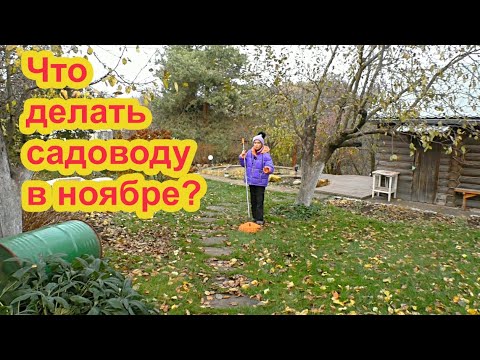 Видео: Что делать садоводу в ноябре?