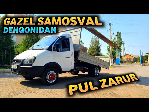 Видео: БУНАҚАСИНИ ТОПИШ ҚИЙИН‼️ ГАЗЕЛ САМОСВАЛ ЗЎРИ ДЕХҚОНИДАН СРОЧНО СОТИЛАДИ‼️