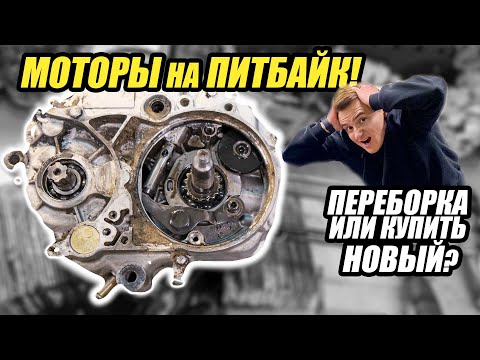 Видео: МОТОРЫ на ПИТБАЙК! Переборка или купить новый?