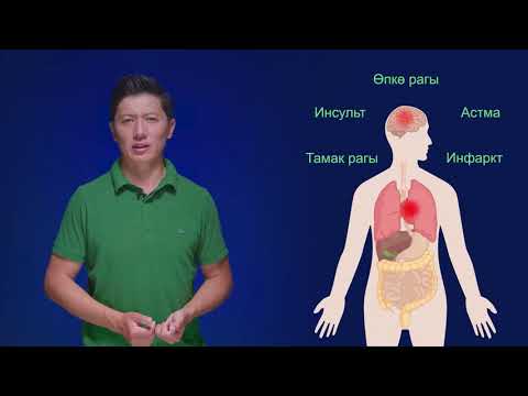 Видео: 6-7-класс | Сергек жашоо образы | Жакындабай турган жаман адаттар