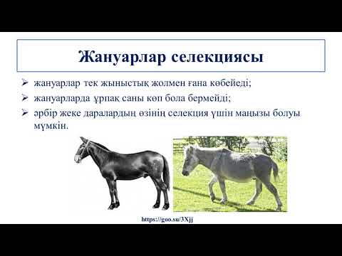 Видео: III - тоқсан, Биология, 10 сынып, Селекция әдістері арқылы ауыл шаруашылық өсімдіктері мен жануарлар