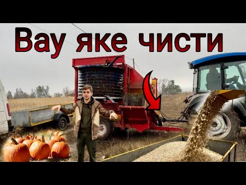 Видео: 😲НАСІНЯ ГАРБУЗА НЕ ПОТРІБНО МИТИ!? ЯК ЗБИРАЮТЬ 🎃Турецьким КОМБАЙНОМ? МИ У пошуку комбайна 🫣