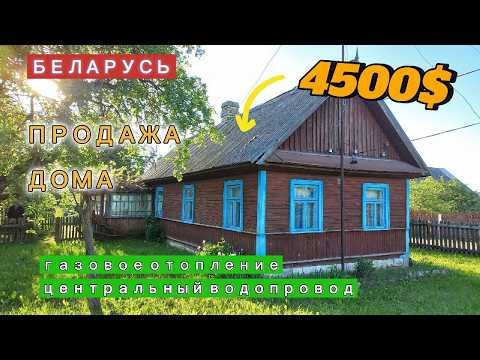 Видео: Что можно купить за 4500$ в деревне Беларуси? Продажа ДОМА в деревне