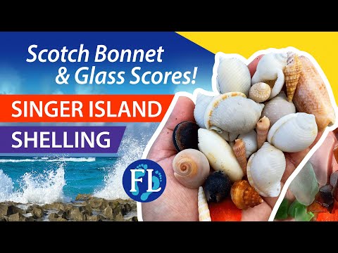 Видео: Остров Сингер, обстрел Макартура и океанского рифа