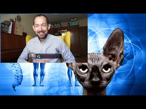 Видео: Один день из жизни опподриллуса   Кот Костян