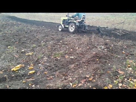 Видео: Готуємо ділянку під часник та озиму цибулю