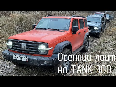 Видео: Осенний лайт на TANK 300