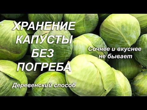 Видео: Хранение капусты без погреба. Деревенский способ.