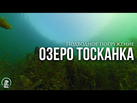 Видео: Озеро Тосканка , Нижегородская область.