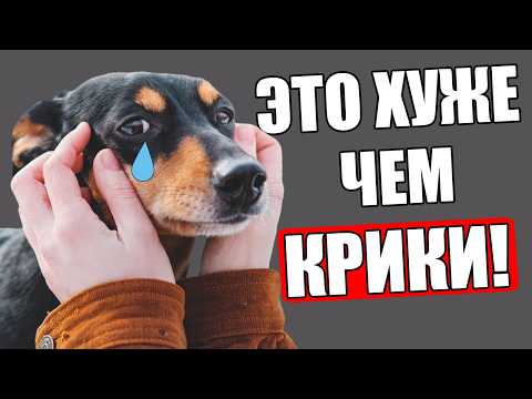 Видео: 15 Действий, которые Собака НИКОГДА НЕ ПРОСТИТ ТЕБЕ!