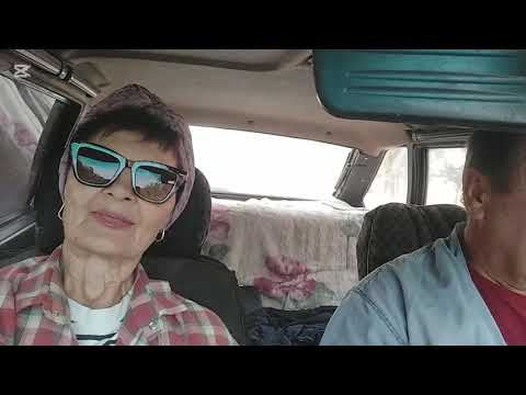 Видео: ОСЕНЬ  ,ПОРА  ПРИНИМАТЬ  ВИТАМИНЫ!  О САМЫХ ЛУЧШИХ🙏👍💃 ЕДИМ ЗА КОРМОМ И ХОЗМАГ🤗♥️🌞🇰🇬