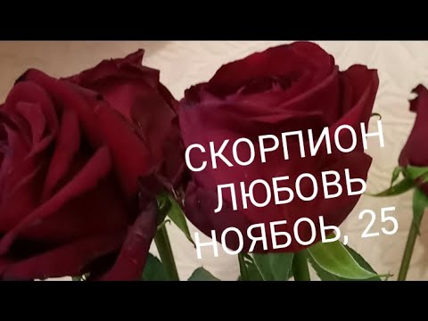 Видео: СКОРПИОН ЛЮБОВЬ НОЯБРЬ 2025 года