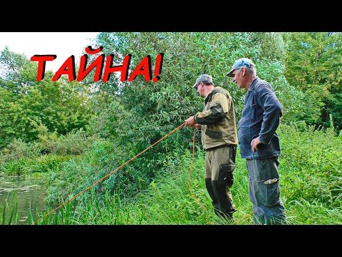 Видео: Тайна Старинного кладбища, Григорьевич уже не тот, поисковый магнит