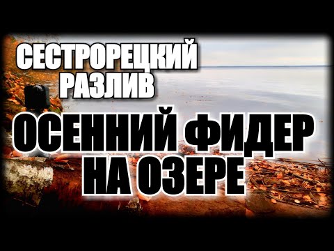 Видео: РЫБАЛКА ПОД ПИТЕРОМ.ОЗЕРО СЕСТРОРЕЦКИЙ РАЗЛИВ | ЭПИЗОД №4
